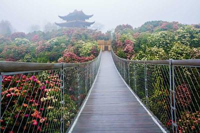 贵州六天五晚赏花季，百里杜鹃·荔波小七孔·黄果树瀑布·天星桥景区·陡坡塘瀑布·西江千户苗寨· 黔灵山·贵阳人防科普教育体验馆（防空洞景区）真纯玩6日游